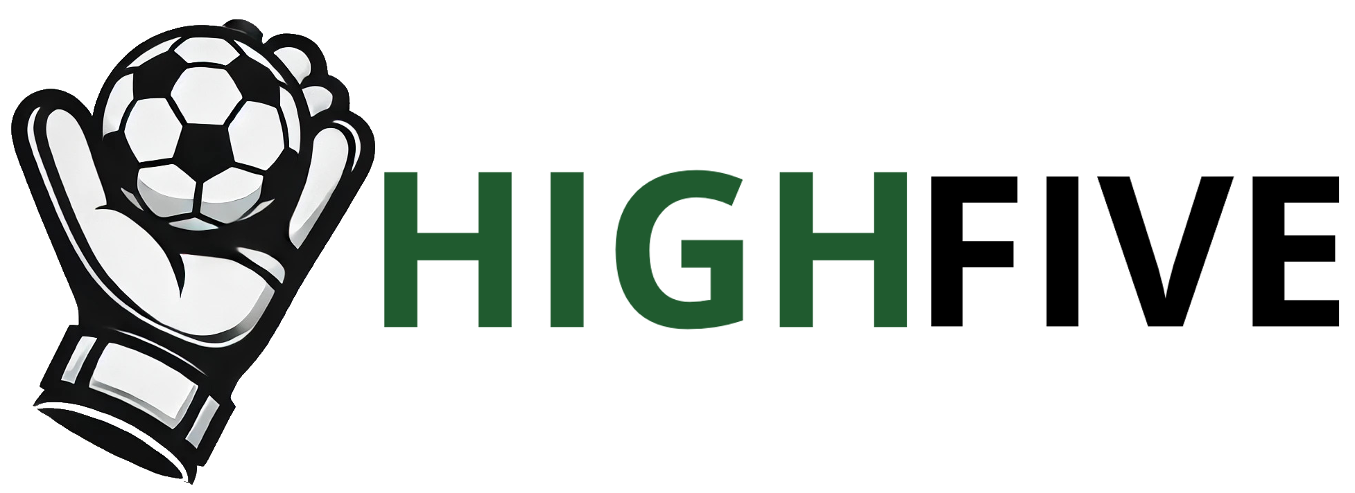 logo HIGHFIVE